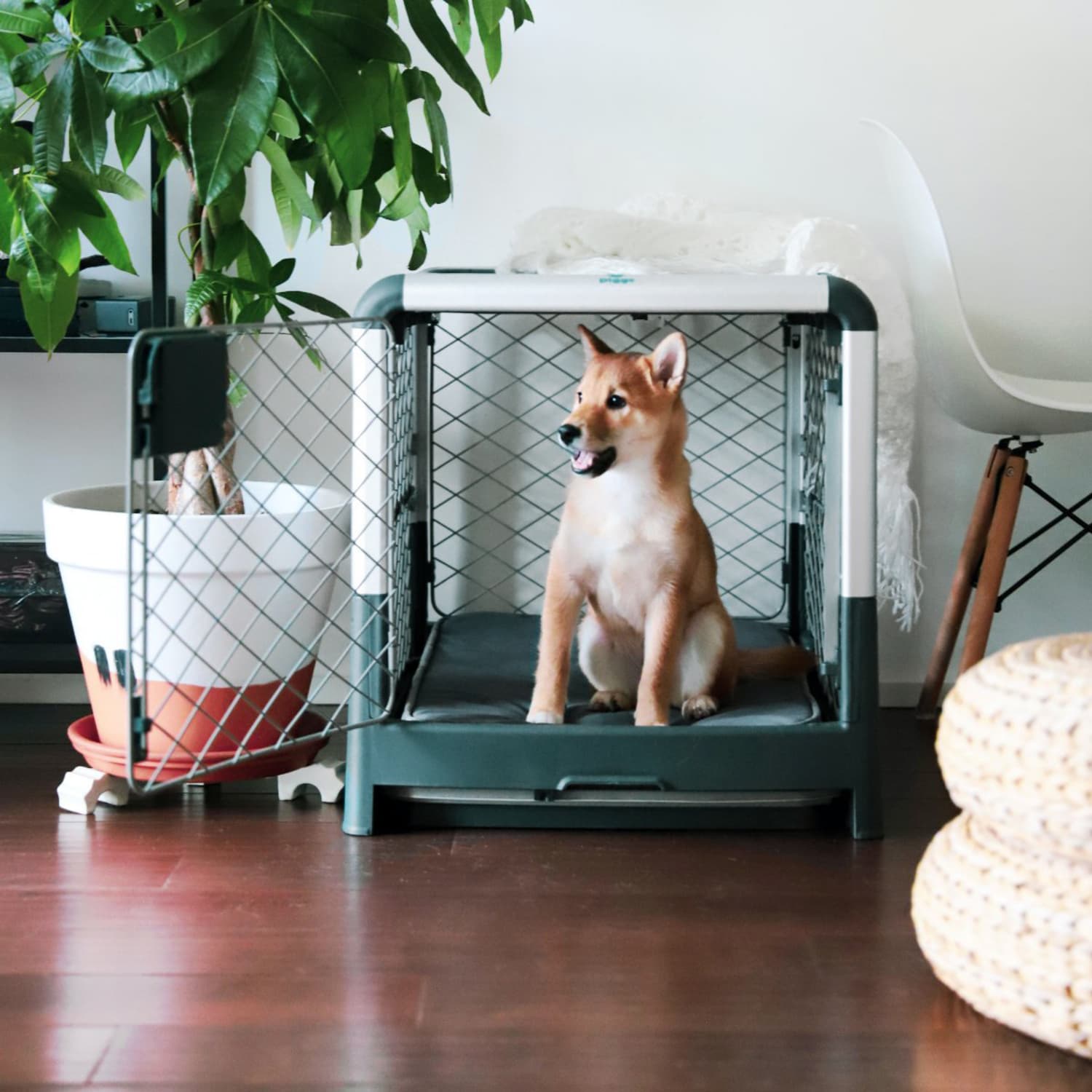 Best rated dog crates hot sale